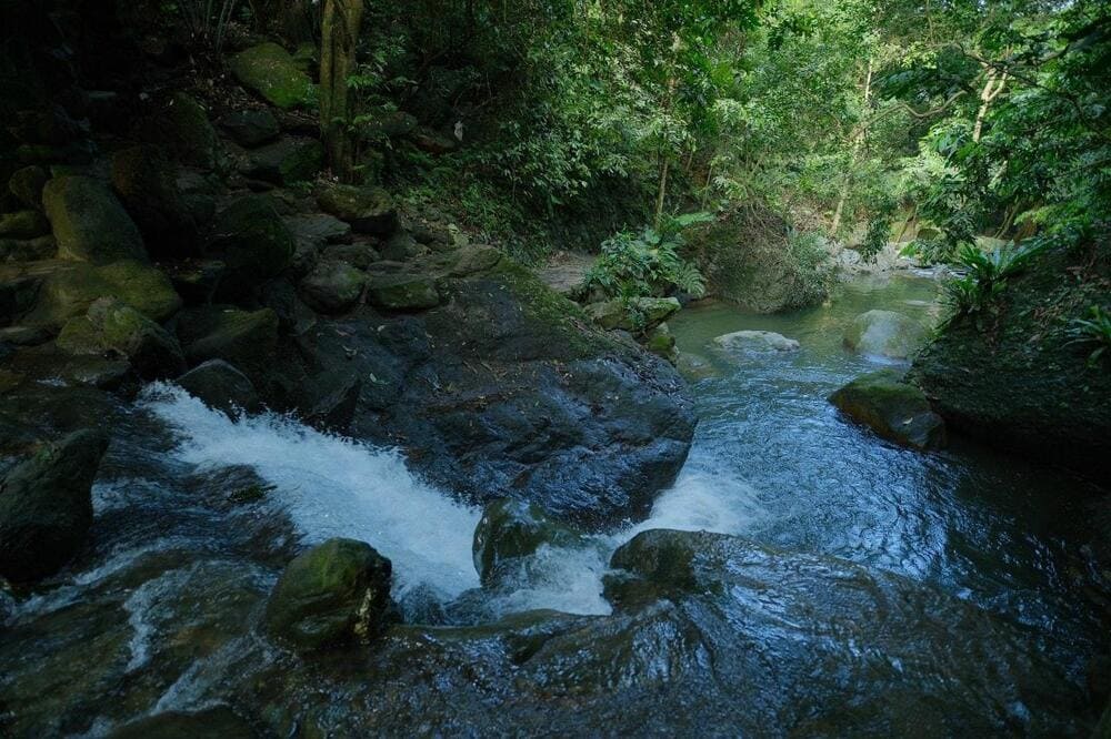 Du khách có thể ghé khu vực Suối Ngà để picnic, tắm suối hoặc trải nghiệm tập yoga dưới dòng nước thiên nhiên (Nguồn: Thiên Sơn Suối Ngà Tour - Du lịch Ba Vì)